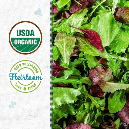 Back to The Roots 100% Organic Heirloom Seeds - Mesclun Young Salad Greens Mix Value Pack (840mg Total)