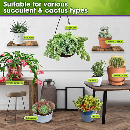 DUSPRO Succulents Soil Potting Mix – 7 in 1 Ingredients Well-Draining, Nutrient-Rich Cactus Potting Soil for Succulents and Cacti, Indoor & Outdoor Use, Ready to Use, Supports Healthy Root Growth, 4QT