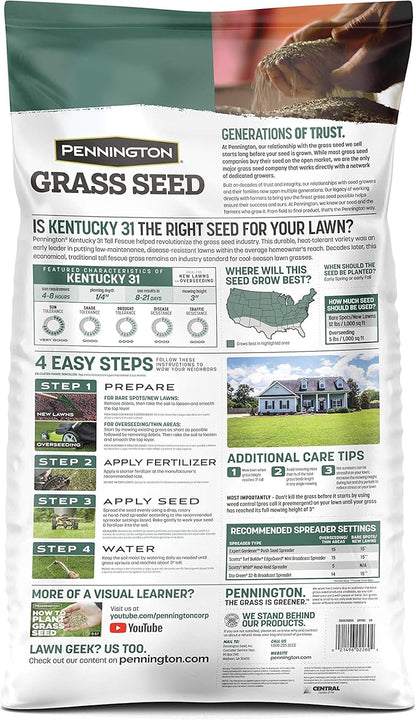 Pennington Kentucky 31 Tall Fescue Grass Seed 20 lb
