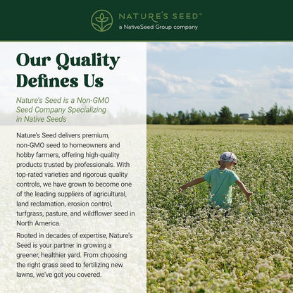 Nature’s Seed Common Buckwheat Seeds for Planting, Wildlife Food Plot, Cover Crop, Green Manure, Pasture, 5 Lbs