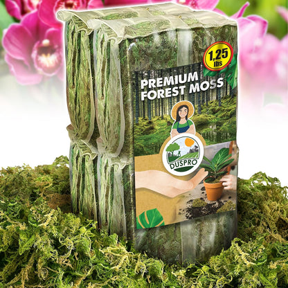 DUSPRO Big Bag Dried Forest Moss for Plant Propagation Sphagnum Moss Bulk for Orchid Repotting Mix Organic Soil Medium Bale Premium Hand Selected 16 QRT