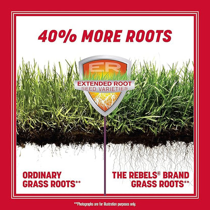 Pennington The Rebels Tall Fescue Grass Seed Mix 20 lb