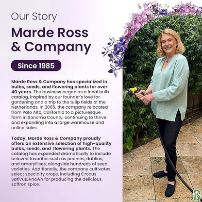 Teddy Bear Sunflower Seeds – 30+ Giant, Fluffy Blooms – Heirloom Flower Seeds for Outdoor Planting – Grows Up to 7’ Tall in Full Sun - Grown in The USA