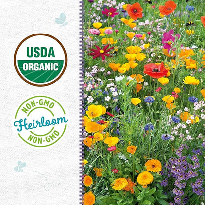Back to The Roots 100% Organic Heirloom Seeds - Wildflower Mix Value Pack (500mg Total)