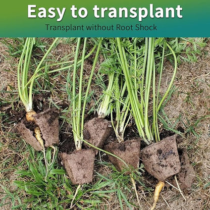 640Cells Seedling Start Trays,40 Pack Peat Pots Seedling Pots Biodegradable,Seedling Starter Kit,Organic Germination Plant Starter Trays