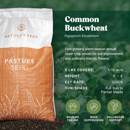 Nature’s Seed Common Buckwheat Seeds for Planting, Wildlife Food Plot, Cover Crop, Green Manure, Pasture, 5 Lbs