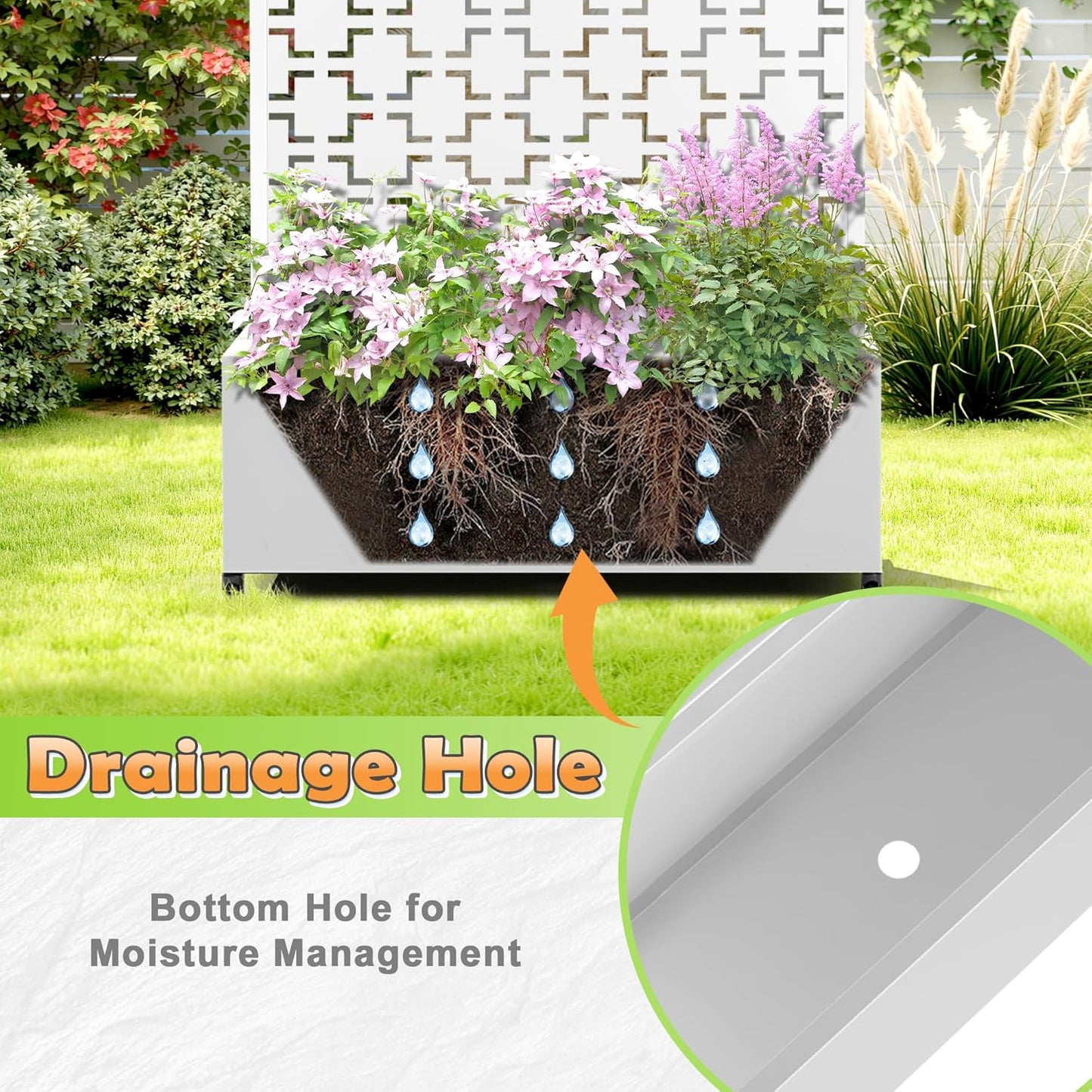 Metal Raised Garden Bed with Trellis, 2-in-1 Planter Box & Privacy Screen for Climbing Plants, Outdoor Standing Flower Bed with Drainage Holes, 35.4" L x 15.7" W x 70.1" H, White-Square