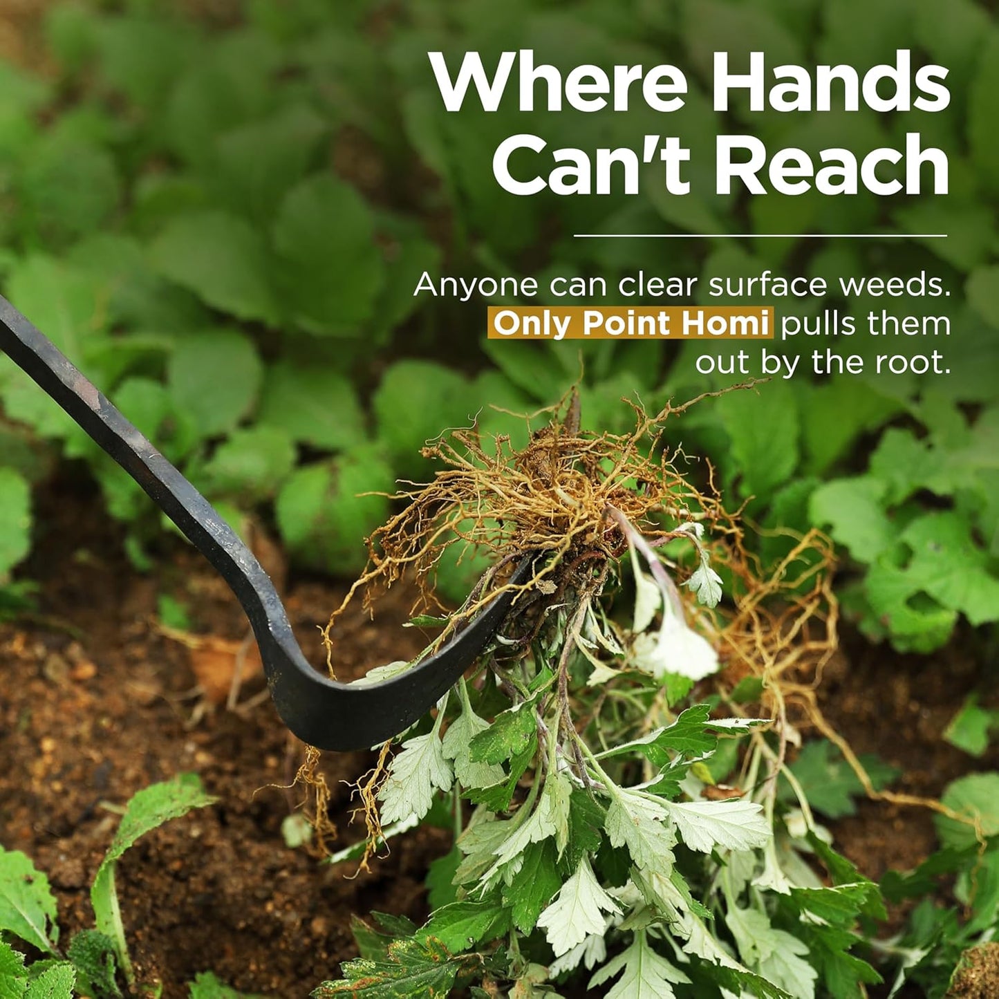 Point Homi Hand Hoe - Traditional Handmade Korean Garden Tool with Chestnut and Acacia Wood Handle for Weeding Digging & Planting