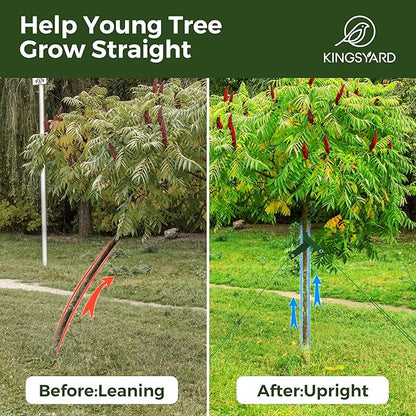 Kingsyard Heavy Duty Tree Stake Kit, 3 Pcs 12 Inch Steel Tree Stakes and Supports for Leaning Young Trees Straightening Kit Against Bad Weather, with 6Pcs Straps & 6Pcs 13ft Anchor Ropes
