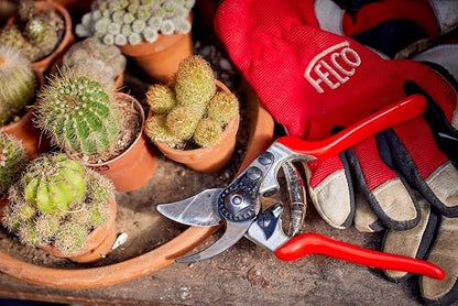 Felco F 14 Pruning Shears – 7.1" Garden Clippers for Small Hands with Bypass & Anvil Blades | Hand Pruners for Gardening | Garden Tool Cutter with Forged Alloy Steel Build, Lightweight Swiss Design