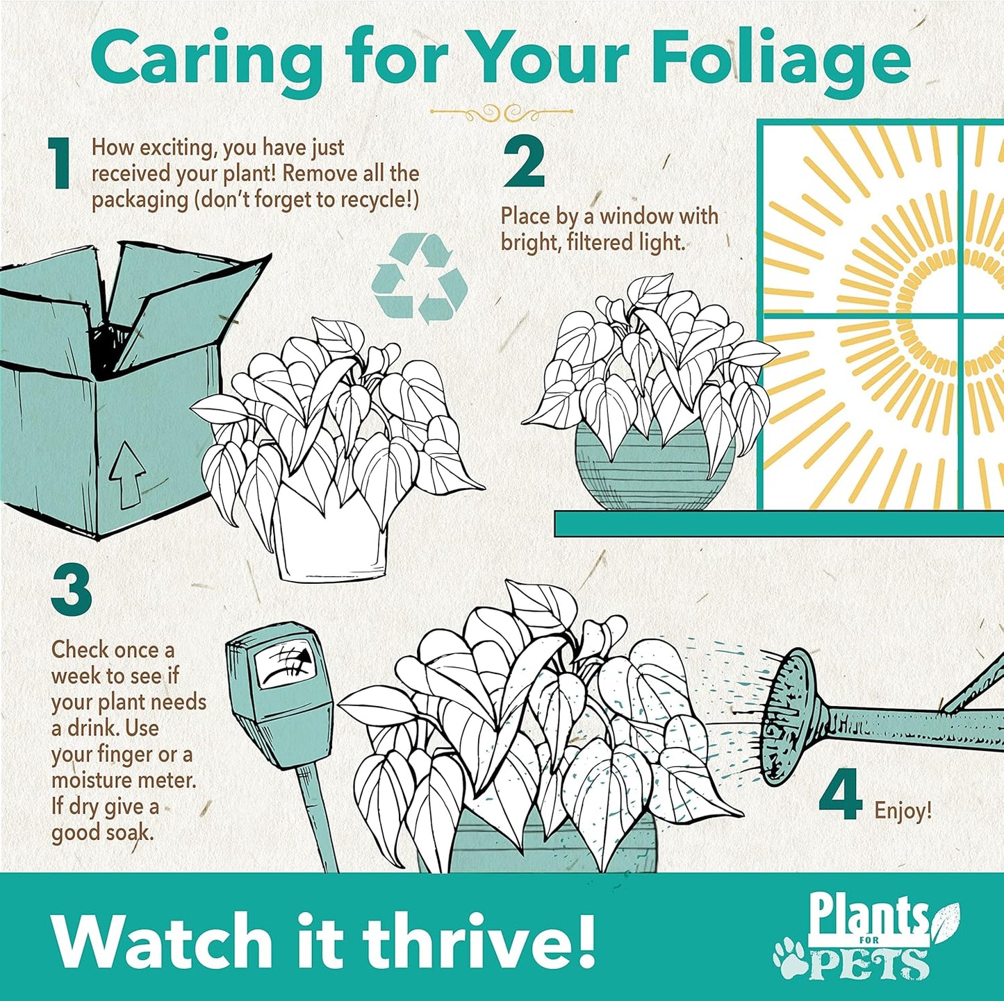 Essential Houseplant Collection (3PK) Live Plants Indoor Plants Live Houseplants in Plant Pots, Easy House Plants Indoors Live, Snake Plant, Pothos in Potting Soil, Clean Air Plants by Plants for Pets