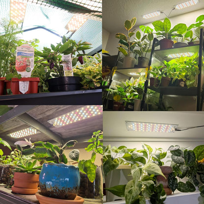 Led Grow Light,Grow Lights for Indoor Plants Full Spectrum, 158LEDs Plant Lights for Indoor Growing with 3/9/12H Timer, 10 Types of Brightness Grow Light for Seed Starting (2pcs)