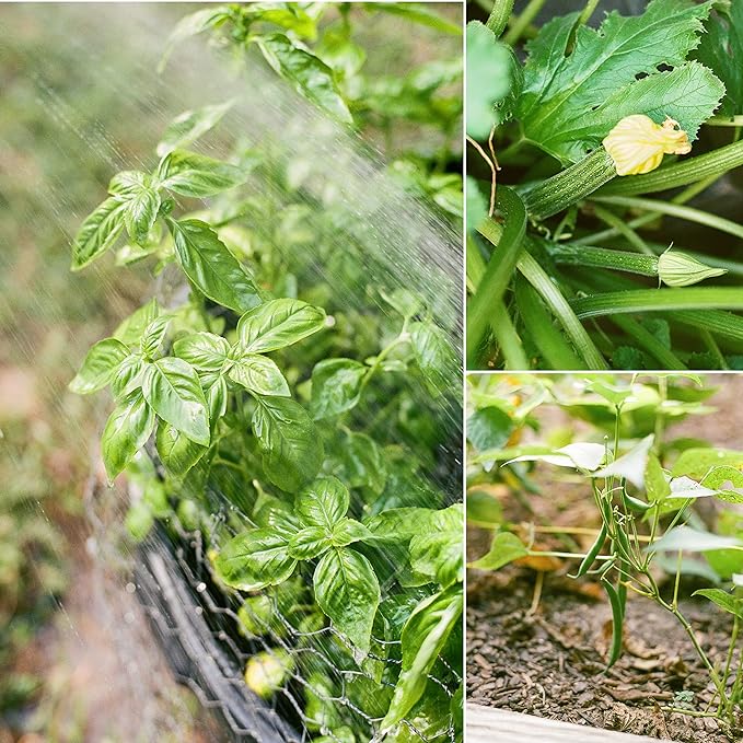 Sereniseed Certified Organic Vegetable Seed Collection (20-Pack) – 100% Non GMO, Open Pollinated Varieties