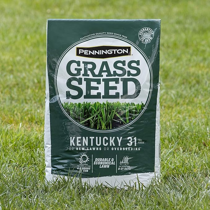 Pennington Kentucky 31 Tall Fescue Penkoted Grass Seed 3 lb