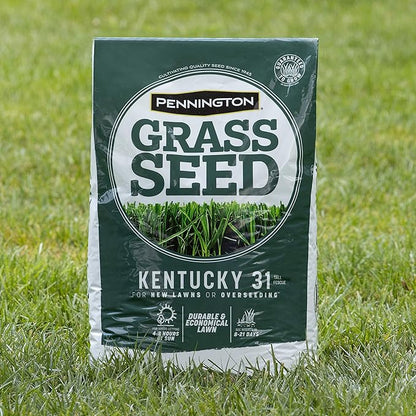 Pennington Kentucky 31 Tall Fescue Penkoted Grass Seed 3 lb, Green (Pack of 2)