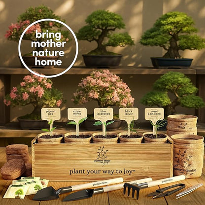 Planter's Choice Bonsai Tree Starter Kit - Unique Gifts for Women, Men - Christmas Gifts for Adults - Indoor Live House Plants - DIY Crafts for Adults Craft Kits - Hobby Gift for Gardening Lovers