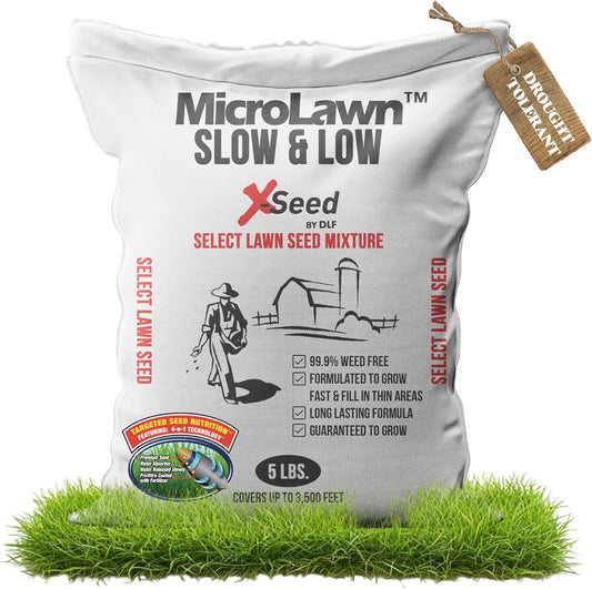 X-Seed Micro-Lawn Slow & Low Grass Seed for Cool Season Lawns, No Mow Natural Areas, Sun to Full Shade, Slow and Low Growing Micro Clover, Creeping Red Fescue, Intermediate Ryegrass, Starter Bag, 5LB