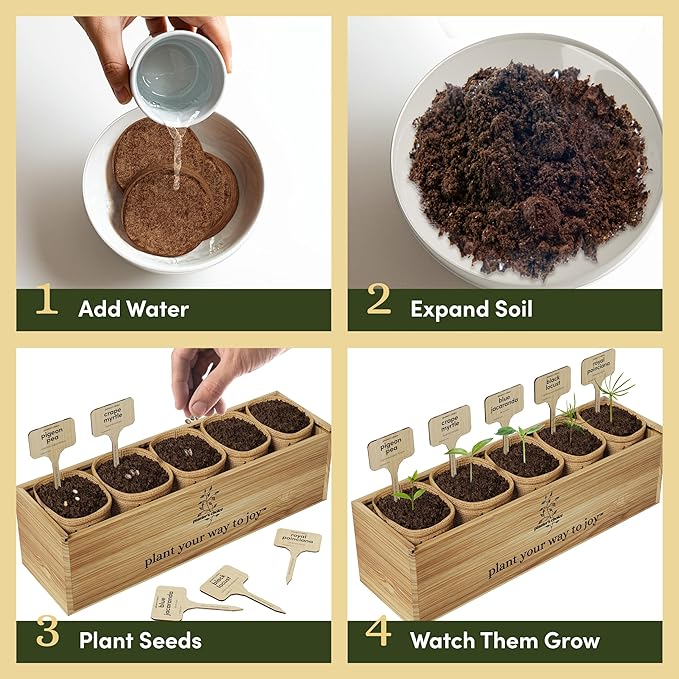 Planter's Choice Bonsai Tree Starter Kit - Unique Gifts for Women, Men - Christmas Gifts for Adults - Indoor Live House Plants - DIY Crafts for Adults Craft Kits - Hobby Gift for Gardening Lovers