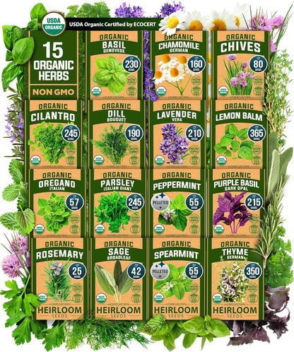 HOME GROWN 𝗢𝗥𝗚𝗔𝗡𝗜𝗖 15 Herb Seeds Variety Pack 2,500+ 𝗡𝗢𝗡-𝗚𝗠𝗢 𝗨𝗦𝗔 High-Germinating Heirloom Seeds for Planting Indoor Outdoor Herb Garden Hydroponics Garden Seeds, Basil Cilantro & More