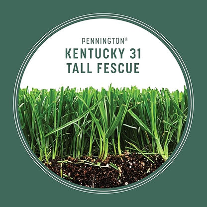 Pennington Kentucky 31 Tall Fescue Penkoted Grass Seed 3 lb, Green (Pack of 2)