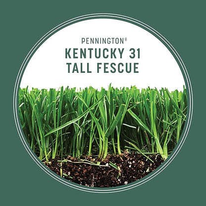 Pennington Kentucky 31 Tall Fescue Grass Seed 20 lb