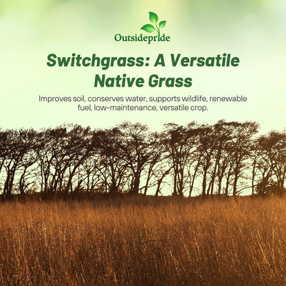 Outsidepride Switchgrass Seed - 10 lbs. Perennial Hardy, Drought & Flood Tolerant Native Grass Seed Ideal Fast-Growing Grasses for Erosion Control, Wildlife Forage & Food Plots, Thrives in Poor Soil