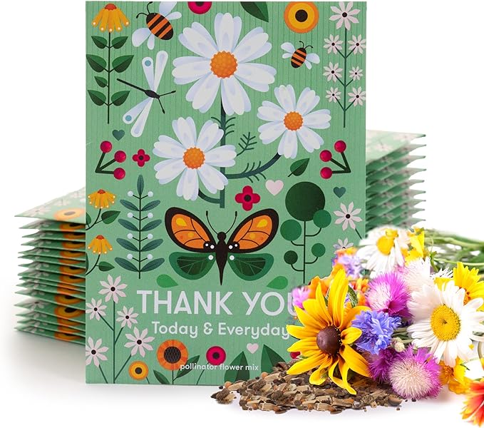 Bentley Seed Co. Thank You Packet - Pollinator Flower Mix - 25 Seed Packets - Perfect Eco-Friendly Thank You Gift - Non GMO Seeds, Green