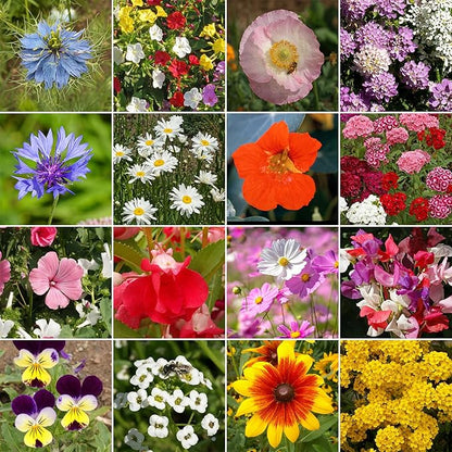 Ferry-Morse Cottage Garden Mix Bulk Flower Seeds, 1lb