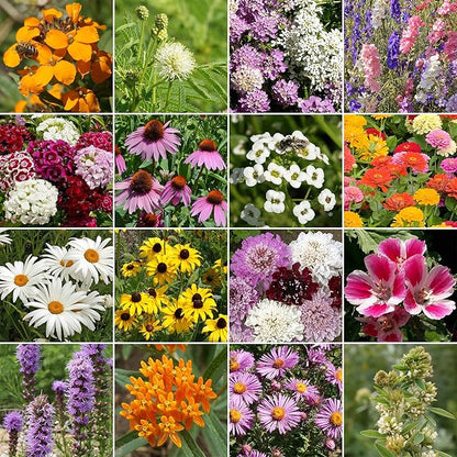 Ferry-Morse Butterfly Mix Bulk Wildflower Seeds, 1lb