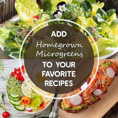 Speckled Pea Sprouting Seeds - 5 Lbs - Certified Organic, Non-GMO Green Pea Sprout Seeds - Sprouts & Microgreens