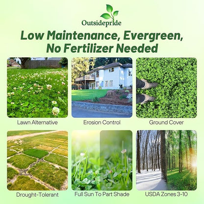 Outsidepride Perennial White Dutch Clover Seed - 5 lbs. Nitrocoated, Inoculated Clover Seeds for Lawn Alternative, Erosion Control, Food Plots, Ground Cover, & Pasture Mixtures in USDA Zones 3-10