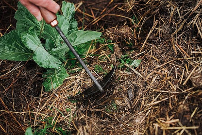 Barebones Triangle Hoe - Stainless Steel Hoe - Japanese Gardening Tools for Weeding, Long Handle and Hand Hoe (Walnut/Black)