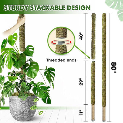 DUSPRO 80 Inches Large Moss Pole for Plants Monstera, Plant Stakes for Indoor Plants, Monstera Plant Support, Plant Support/Plant Pole for Big Climbing Plants Indoor (1pc., 80'')