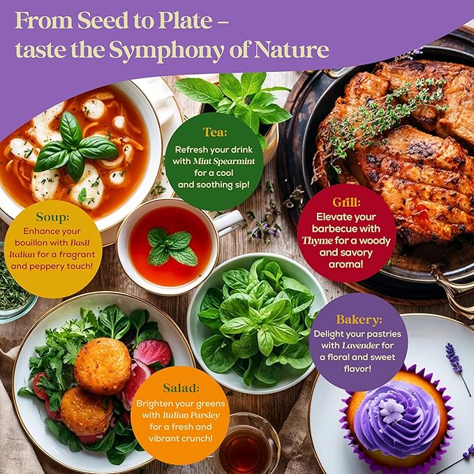 25 Culinary Herb Seeds Variety Pack - 13,055+ Non-GMO Heirloom Herbs Seeds for Planting Indoor & Outdoor: Rosemary, Basil, Catnip, Cilantro, Dill, Parsley, Oregano, Thyme, Mint, Tarragon, Lavender