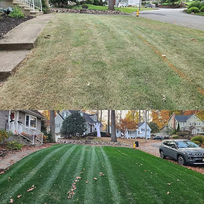 NightShift (Formerly Blackout) Kentucky Bluegrass & Perennial Ryegrass Grass Seed (25 lbs)