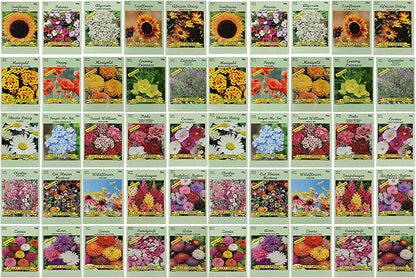 50 Slightly Assorted Flower Seeds! – Great for Bees, Birds, and Butterflies! – Includes 10+ Varieties of USA Grown & Non-GMO Seeds! – May Include Forget-Me-Nots, Marigolds, Wildflowers, and More