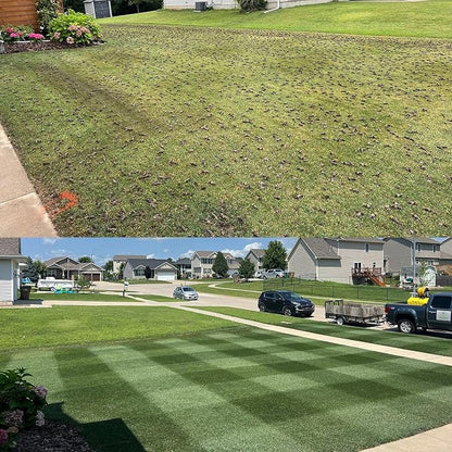 NightShift (Formerly Blackout) Kentucky Bluegrass and Turf Type Tall Fescue Grass Seed (10 Pounds)