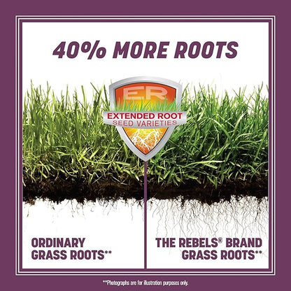 Pennington The Rebels Tall Fescue Shady Grass Seed Mix 7 lb