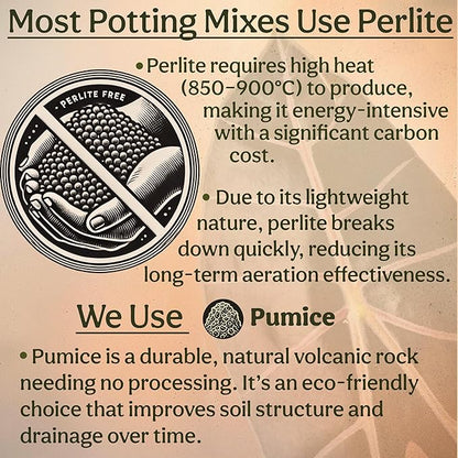 Craft Aroid Potting Mix- Elite Alocasia, Philodendron, Monstera Soil Mix, Chunky, Well Draining Potting Soil for Indoor Plants, All Tropical Plants & Houseplants, Synthetic & Peat Free 1QT