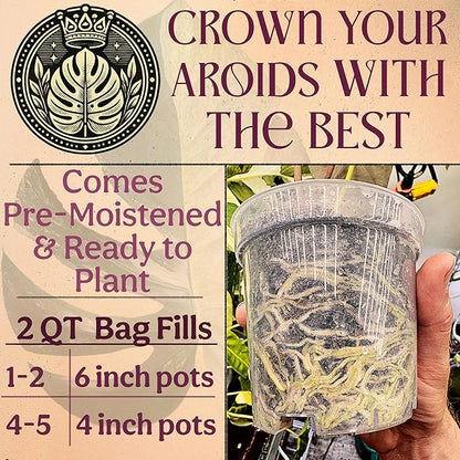 Craft Aroid Potting Mix- Elite Alocasia, Philodendron, Monstera Soil Mix, Chunky, Well Draining Potting Soil for Indoor Plants, All Tropical Plants & Houseplants, Synthetic & Peat Free 2QT