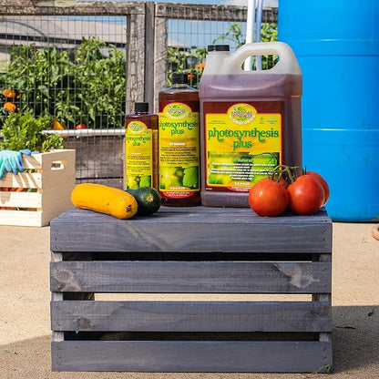 Microbe Life Hydroponics Premium Photosynthesis Plus to Grow Fruits, Vegetables, and Herbs, The Best Professional Big Bud Grow, Use with Any Feeding Systems Including Hydroponics or Soil, 16 Ounces