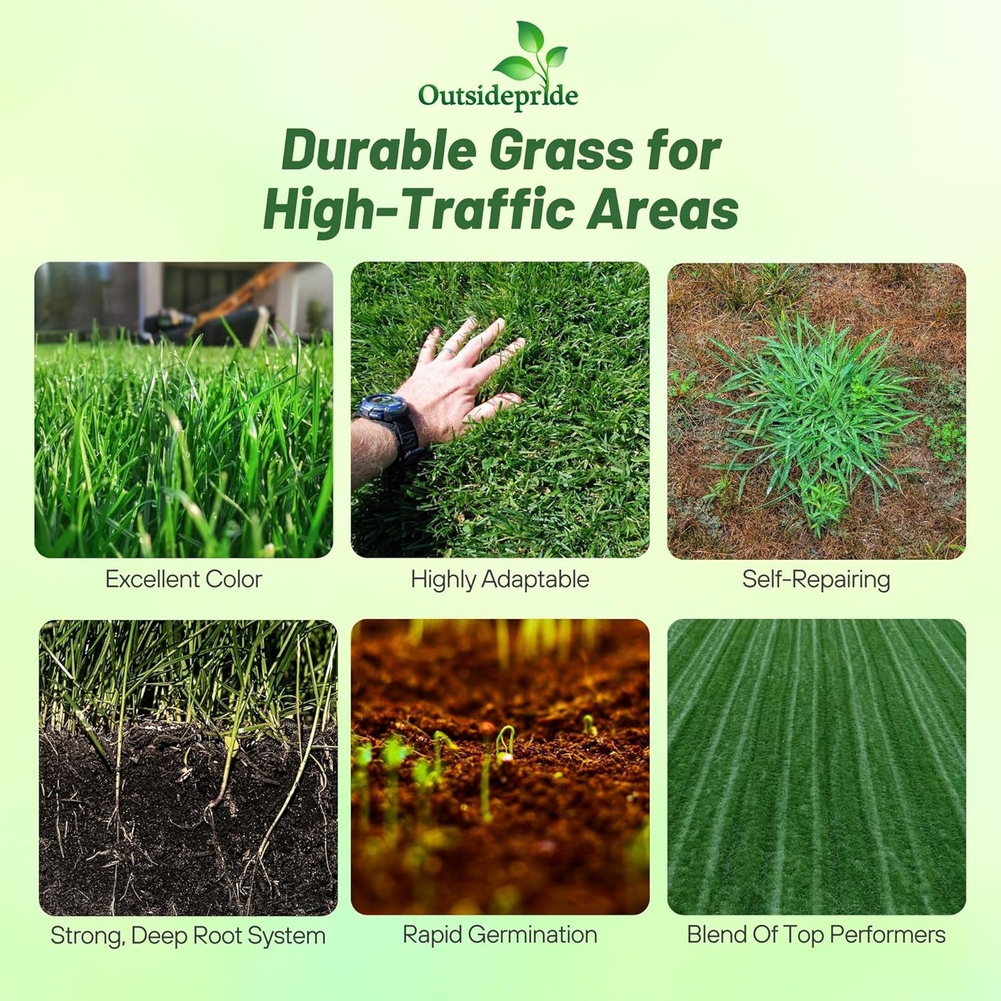 Outsidepride Combat Extreme Transition Zone Grass Seed Blend for Lawn 50 lbs - Fine, Medium Leaf Blades & Dense Turf for Sun, Shady & High Traffic Areas w/OptiGrowth Coating for Seed Enhancement