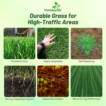 Outsidepride Combat Extreme Transition Zone Grass Seed Blend for Lawn 50 lbs - Fine, Medium Leaf Blades & Dense Turf for Sun, Shady & High Traffic Areas w/OptiGrowth Coating for Seed Enhancement