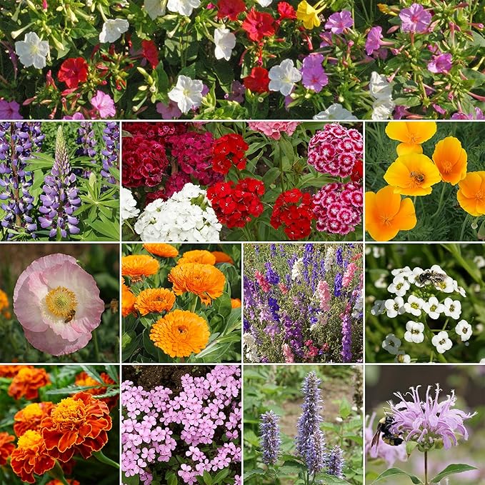 Ferry-Morse Deer Resistant Mix Bulk Wildflower Seeds, 1lb