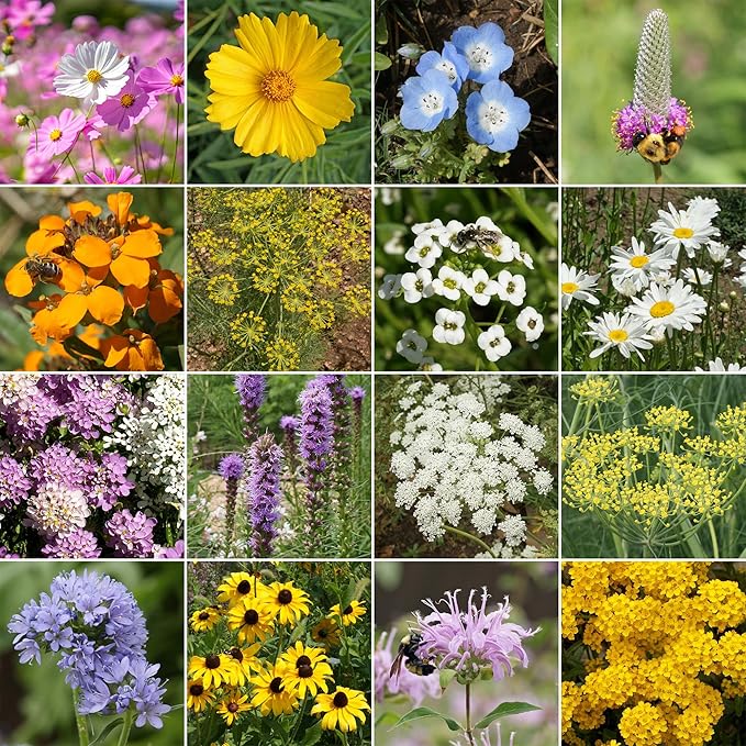 Ferry-Morse Beneficial Bug Mix Bulk Wildflower Seeds, 1lb