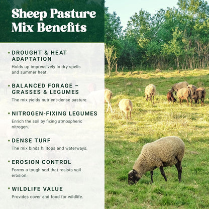 Nature's Seed Northern Sheep Forage Mix, Cattle Pasture Grass Seed Cool-Season Blend, Nutrient-Rich, 10 lbs