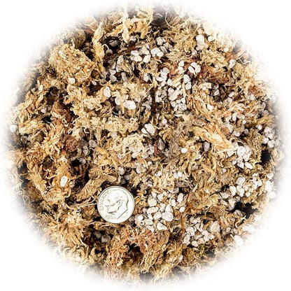 GARDENERA Sphagnum Moss Potting Mix for Carnivorous Plants, Moss and Perlite Blend for Potting Venus Fly Traps, Sarracenia, Pitcher Plants - 75% Sphagnum Moss + 25% Perlite - Made in USA - 3 Quart