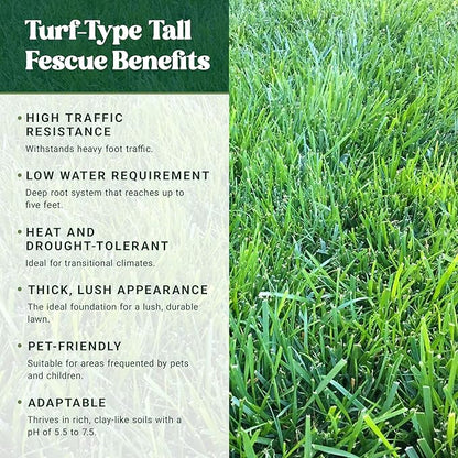 Nature’s Seed Triple-Play Turf Type Tall Fescue Grass Seed Blend, High-Traffic, Heat and Drought Tolerant, for Garden, Lawn, Yard, 5 Lbs
