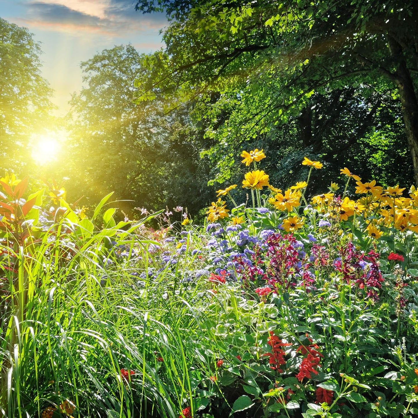 Organic Rosemary Seeds 100 Mg ~77 Seeds – Non-GMO, Heirloom, High Germination – Culinary Herb for Gardens & Pots – Drought-Tolerant Perennial – Used in Cooking, Teas & Aromatic Blends