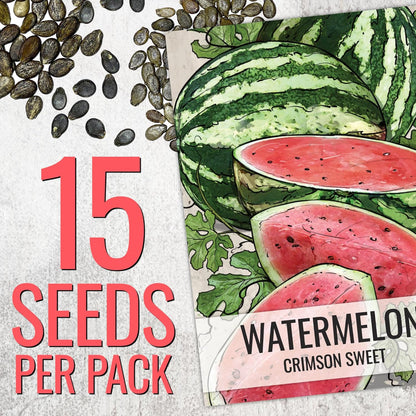 Seed Needs Watermelon Seeds for Planting Fruits - Non-GMO Heirloom & Untreated Water Melon Seed to Plant an Outdoor Home Grown Garden - Collection/Seed Kit (3 Packs)